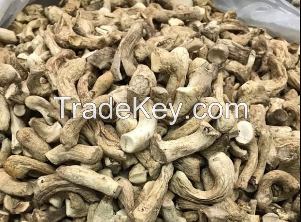 ORGANIC SHIITAKE STEM / BRAIN FUNCTION / CLEAN LABEL / PLANT-BASED