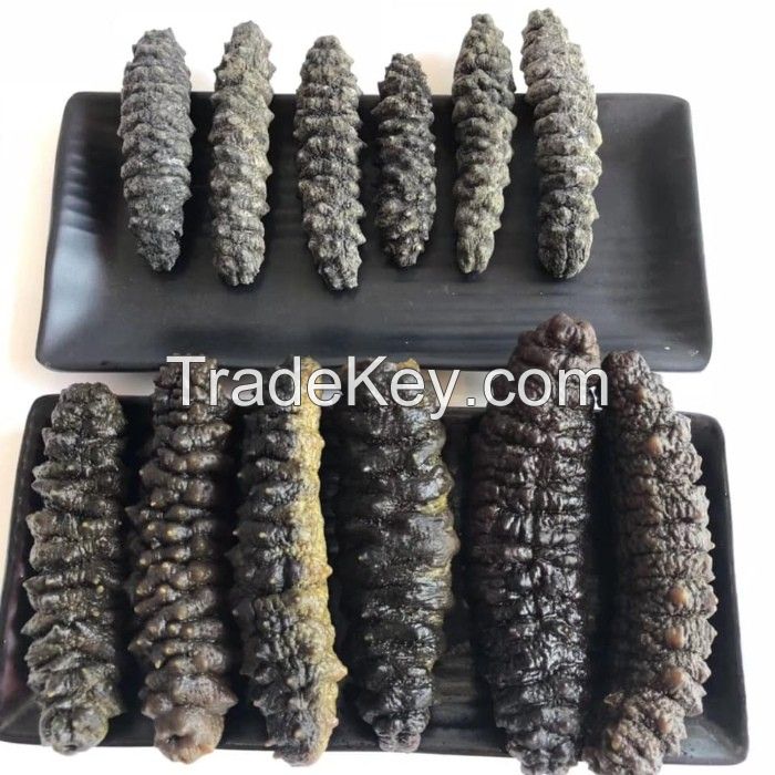 OCEAN-BASED WHOLE DRIED SEA CUCUMBER PRODUCT / CLEAN SOURCED / ADDITIVE-FREE