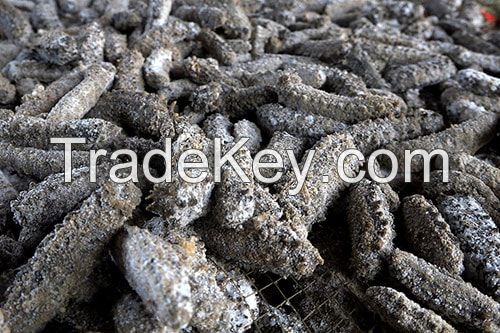 OCEAN-BASED WHOLE DRIED SEA CUCUMBER PRODUCT / CLEAN SOURCED / ADDITIVE-FREE
