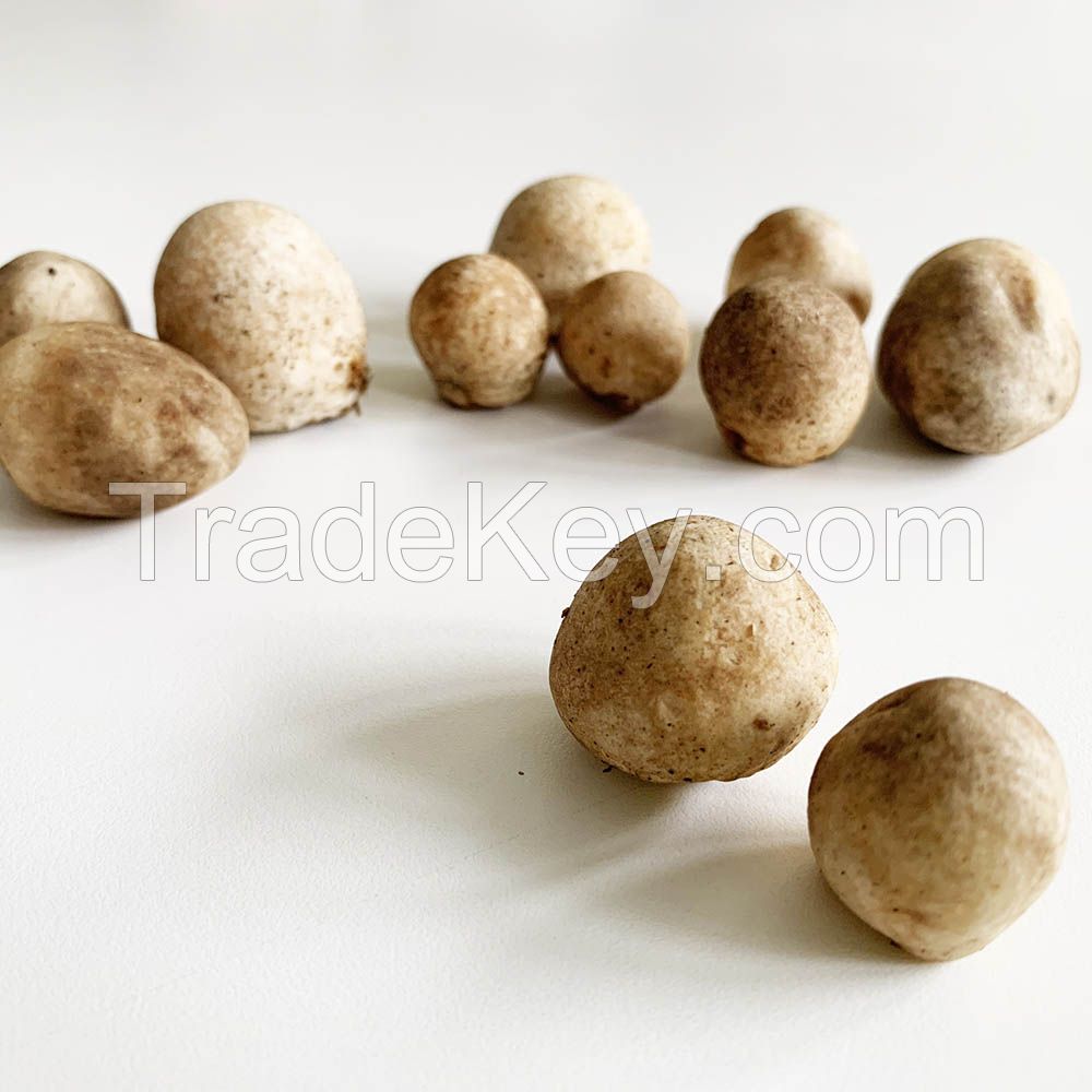 PREMIUM STRAW MUSHROOMS / VEGAN FRIENDLY / NO ADDITIVES / EARTH-GROWN