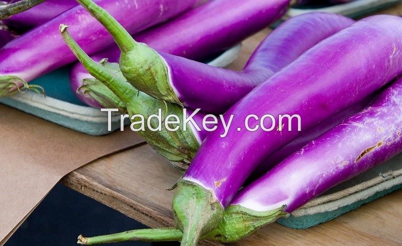AUTHENTIC FROZEN EGGPLANT / LIVER SUPPORT / CLEAN LABEL / PLANT-BASED