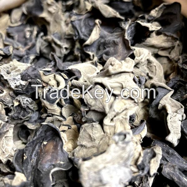 BLACK WOOD EAR MUSHROOM / DRIED NATURALLY / CLEAN LABEL / PLANT-BASED PRODUCT
