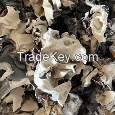 BLACK WOOD EAR MUSHROOM / DRIED NATURALLY / CLEAN LABEL / PLANT-BASED PRODUCT
