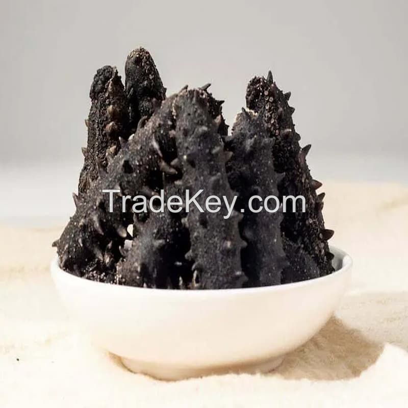 WILD SEA CUCUMBER PRODUCT / AIR-DRIED / SUSTAINABLY PROCESSED