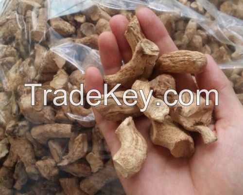 ORGANIC SHIITAKE STEM / BRAIN FUNCTION / CLEAN LABEL / PLANT-BASED