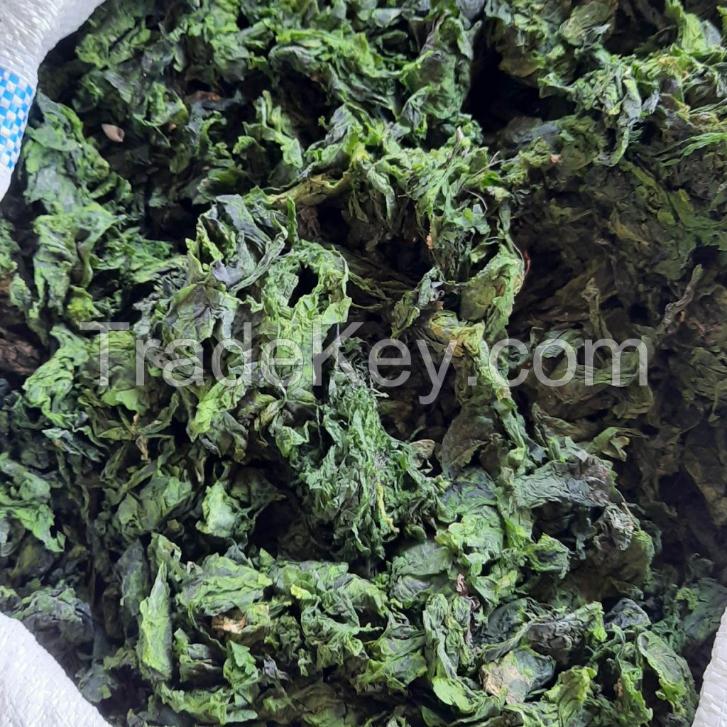 DRIED ULVA LACTUCA / CLEAN LABEL / PLANT-BASED SEA VEGETABLE / NATURAL GREEN