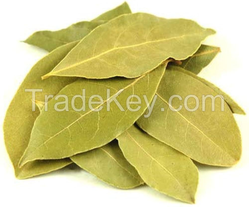 NATURAL BAY LEAF / WHOLE DRIED / VEGAN-FRIENDLY / ADDITIVE-FREE