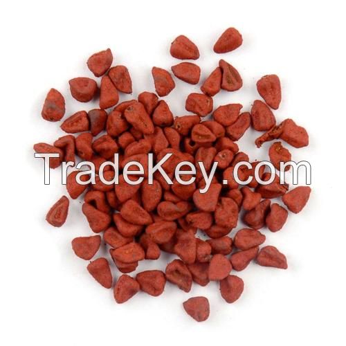 ORGANIC STYLE ANNATTO SEEDS / NATURAL COLOR SOURCE / VEGAN ALTERNATIVE