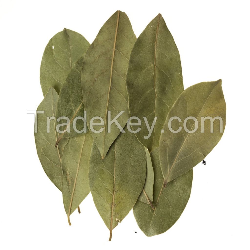 NATURAL BAY LEAF / WHOLE DRIED / VEGAN-FRIENDLY / ADDITIVE-FREE