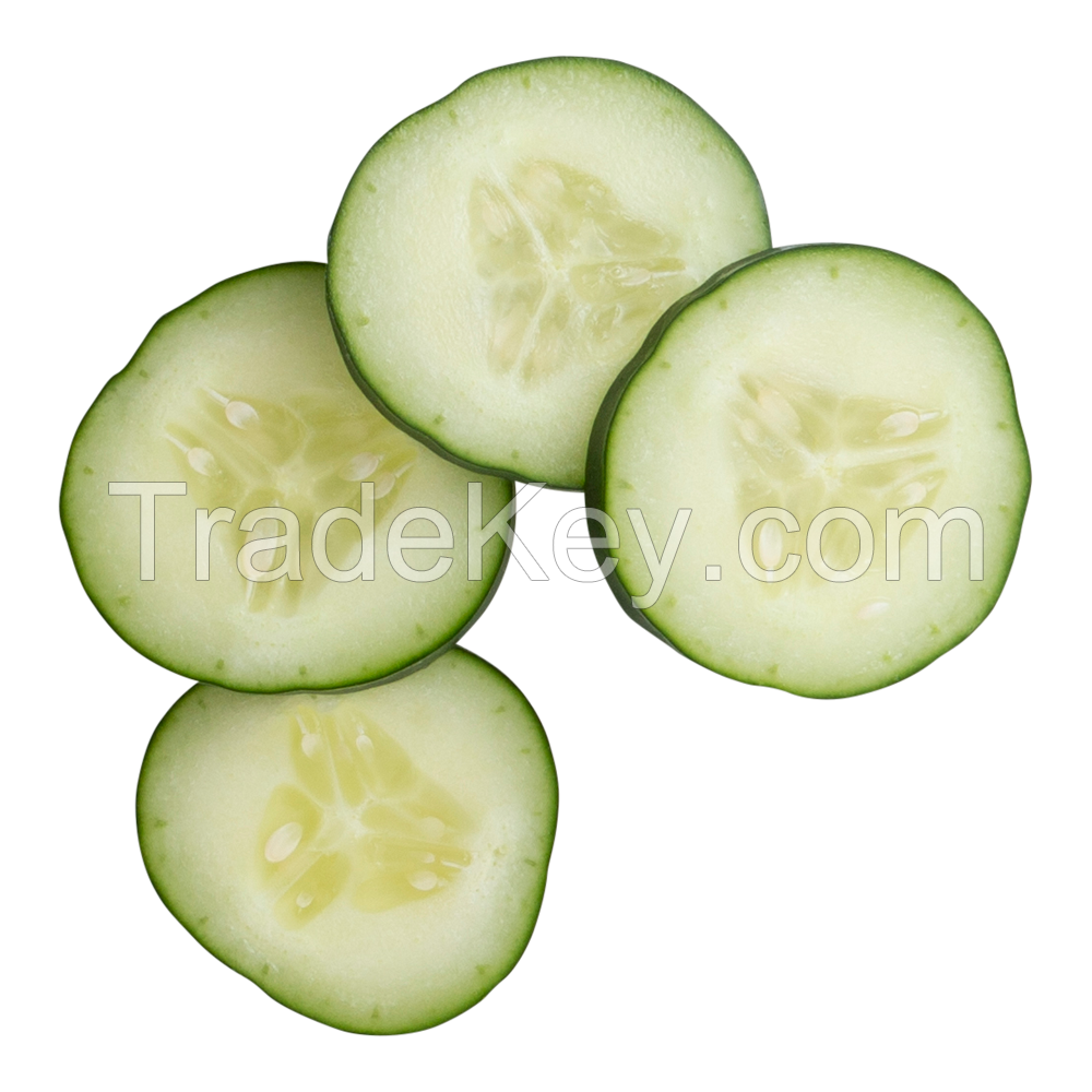 FROZEN CUCUMBER / HYDRATING CUCUMBER EXTRACT / SKIN SUPPORT / CLEAN LABEL / PLANT-BASED