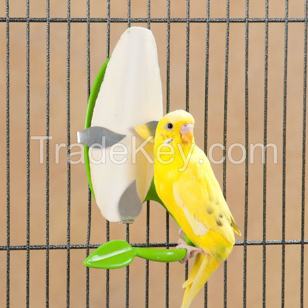 WILD HARVESTED CUTTLEBONE / MINERAL SUPPORT / ZERO ADDITIVES / ANIMAL-SAFE