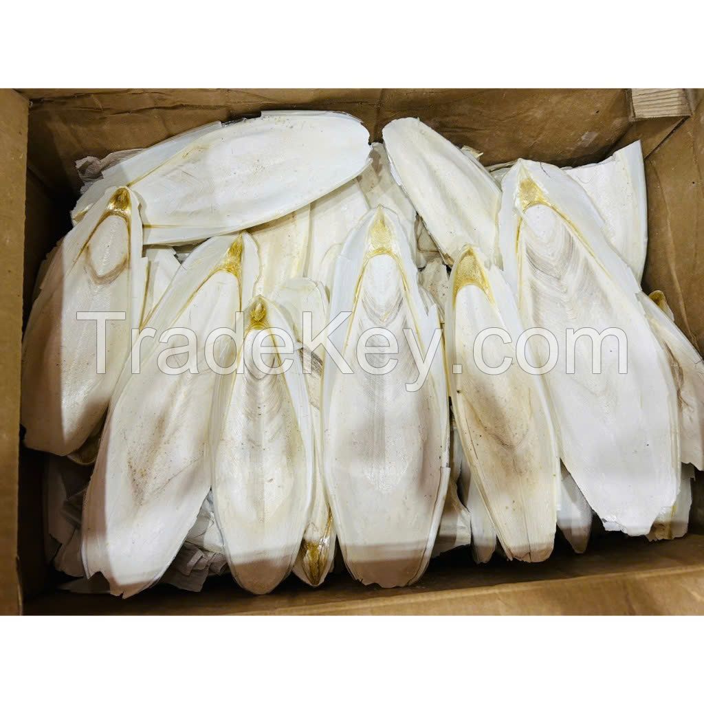 WILD HARVESTED CUTTLEBONE / MINERAL SUPPORT / ZERO ADDITIVES / ANIMAL-SAFE