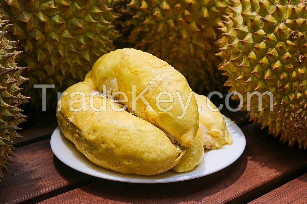 PREMIUM FROZEN DURIAN / NO ADDITIVES / CLEAN ORIGIN / VEGAN FRIENDLY