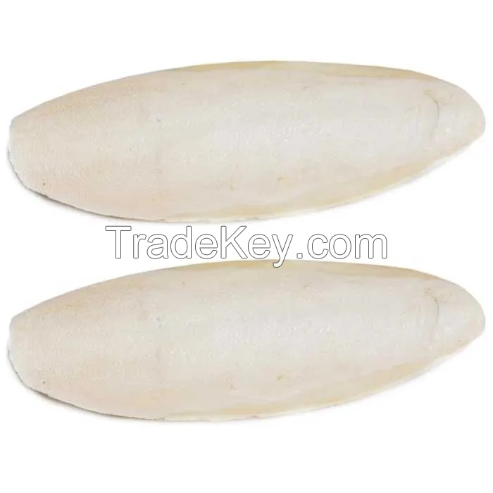 WILD HARVESTED CUTTLEBONE / MINERAL SUPPORT / ZERO ADDITIVES / ANIMAL-SAFE