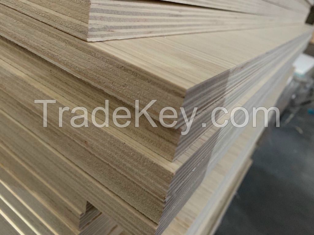 NATURAL WOOD PLYWOOD SHEETS / CLEAN FINISH / SUSTAINABLE MATERIAL