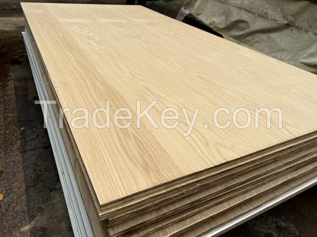 NATURAL WOOD PLYWOOD SHEETS / CLEAN FINISH / SUSTAINABLE MATERIAL