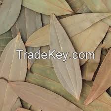 NATURAL DRIED BAY LEAVES / PLANT ORIGIN / CLEANLY PROCESSED