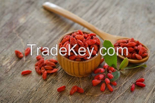 PURE GOJI SEEDS / IMMUNE SUPPORT / CLEAN LABEL / PLANT POWER