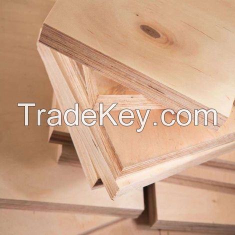 NATURAL WOOD PLYWOOD SHEETS / CLEAN FINISH / SUSTAINABLE MATERIAL