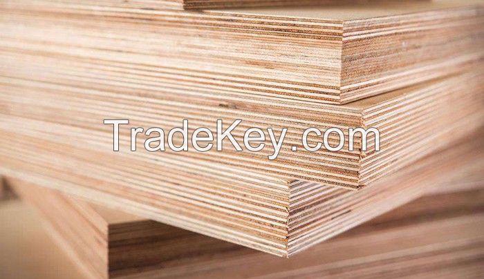 PLYWOOD FOR FURNITURE & DECOR / PLANT-BASED GLUE OPTION / DURABLE LAYERS