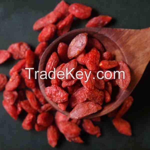 RED SEED ENERGY / GOJI BOOST / WHOLE PLANT BENEFIT / CLEAN FUNCTIONAL FOOD
