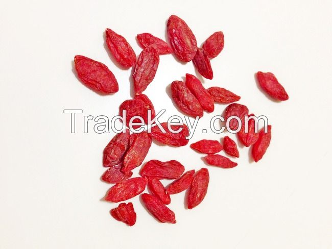 RED SEED ENERGY / GOJI BOOST / WHOLE PLANT BENEFIT / CLEAN FUNCTIONAL FOOD