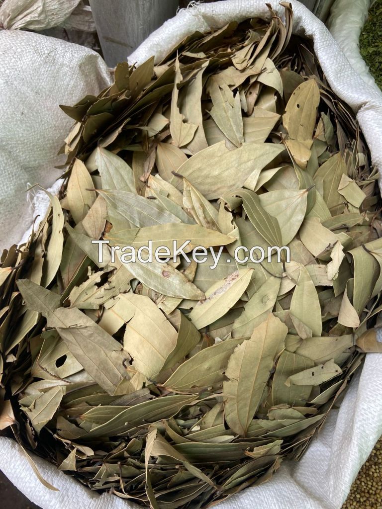 NATURAL DRIED BAY LEAVES / PLANT ORIGIN / CLEANLY PROCESSED