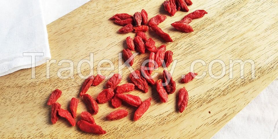PURE GOJI SEEDS / IMMUNE SUPPORT / CLEAN LABEL / PLANT POWER