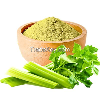 GREEN CELERY POWDER / NON-GMO / CLEANLY PROCESSED / HIGH QUALITY