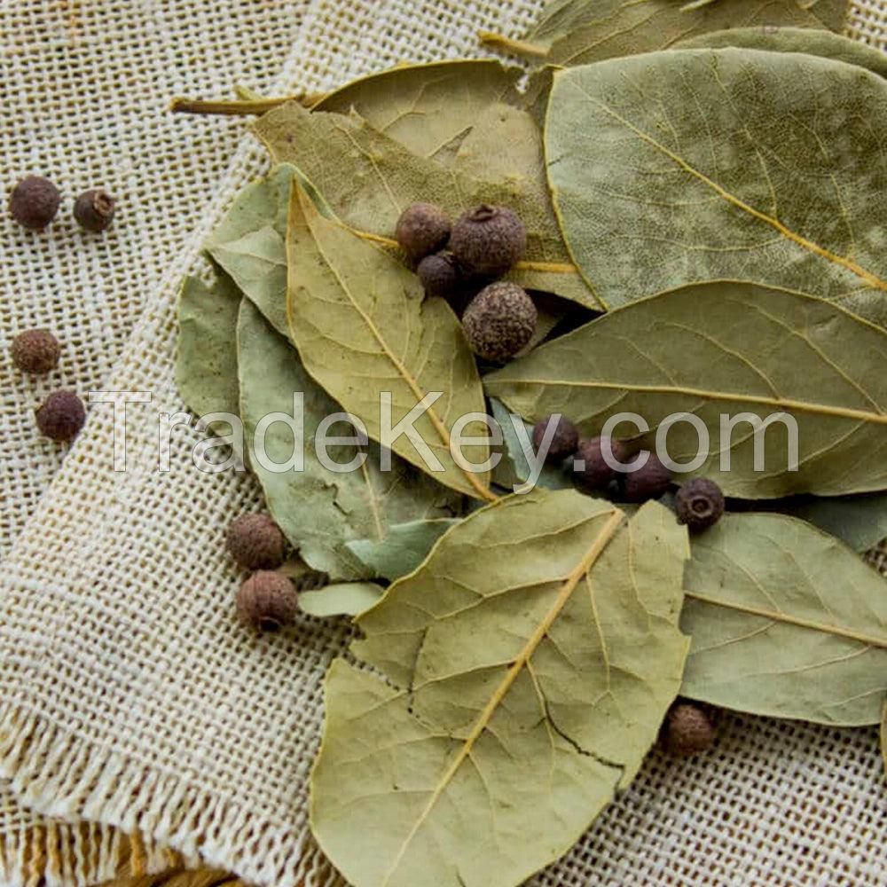 NATURAL DRIED BAY LEAVES / PLANT ORIGIN / CLEANLY PROCESSED