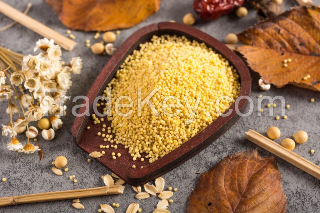 PURE MILLET GRAIN / CLEAN LABEL / PLANT-BASED / WHOLE NATURAL CEREAL