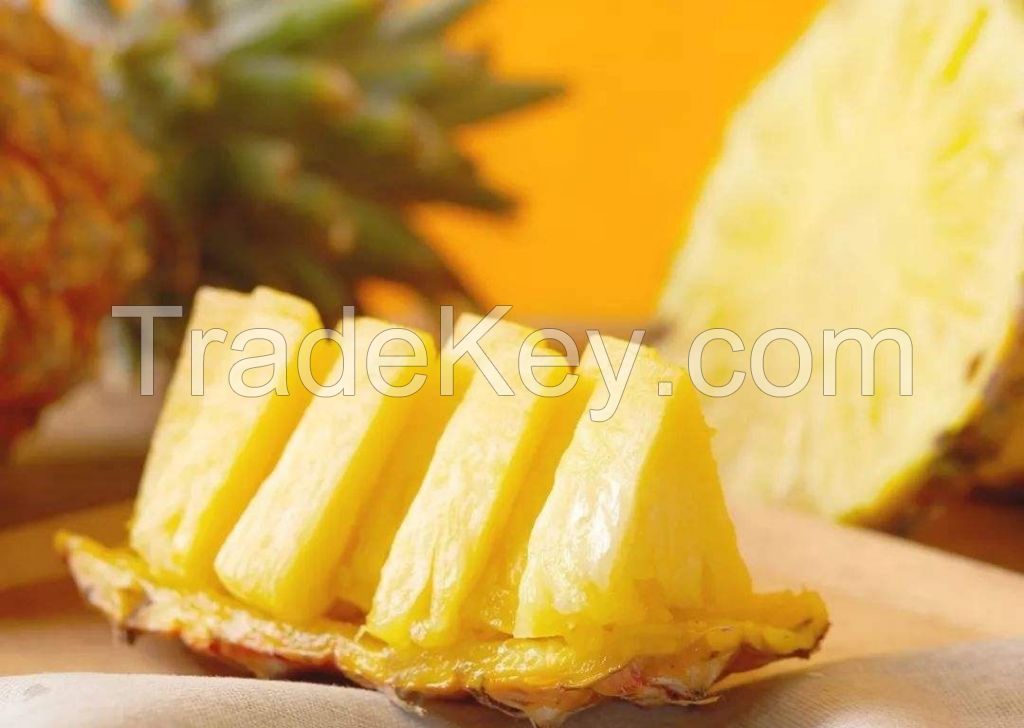 WHOLE FRUIT CANNED PINEAPPLE / NATURAL ENZYMES / IMMUNE SUPPORT / NO ADDITIVES