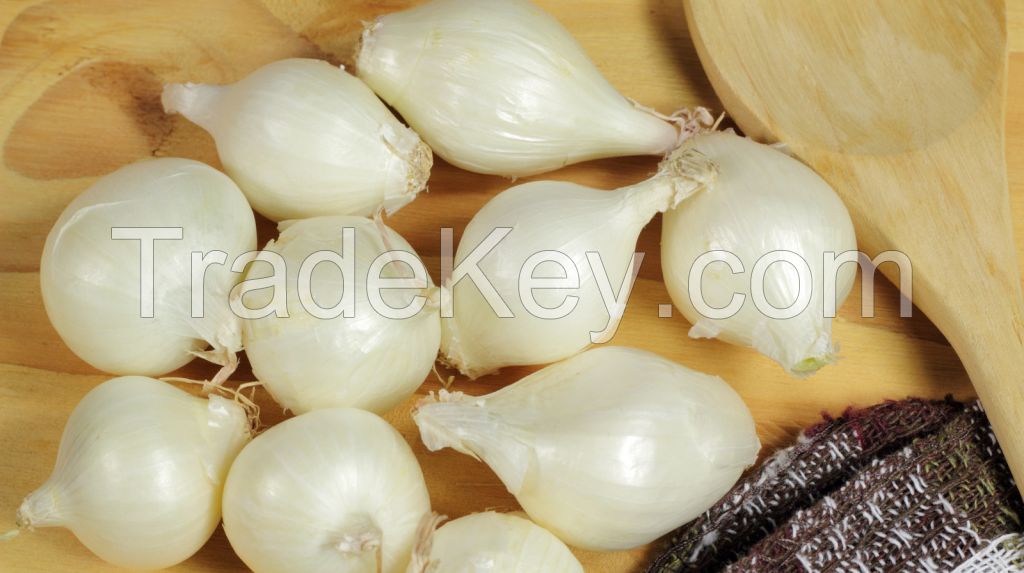 FRESH-FROZEN ONION / IMMUNITY BOOSTER / CLEAN EATING / ANTIOXIDANT SOURCE