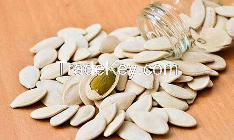 CRUNCHY PUMPKIN SEEDS / ENERGY BOOST / CLEAN INGREDIENT / OMEGA-3 SOURCE