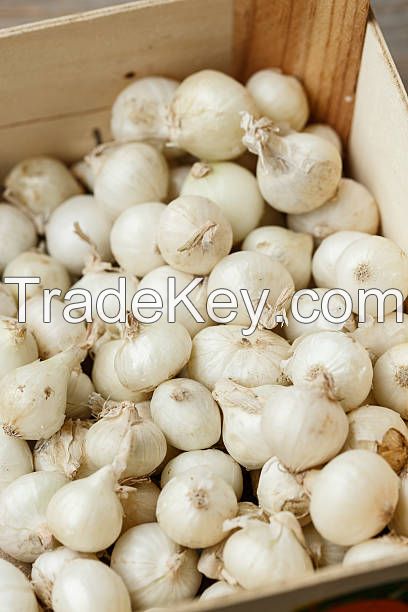 FRESH-FROZEN ONION / IMMUNITY BOOSTER / CLEAN EATING / ANTIOXIDANT SOURCE