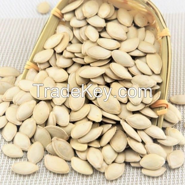 CRUNCHY PUMPKIN SEEDS / ENERGY BOOST / CLEAN INGREDIENT / OMEGA-3 SOURCE