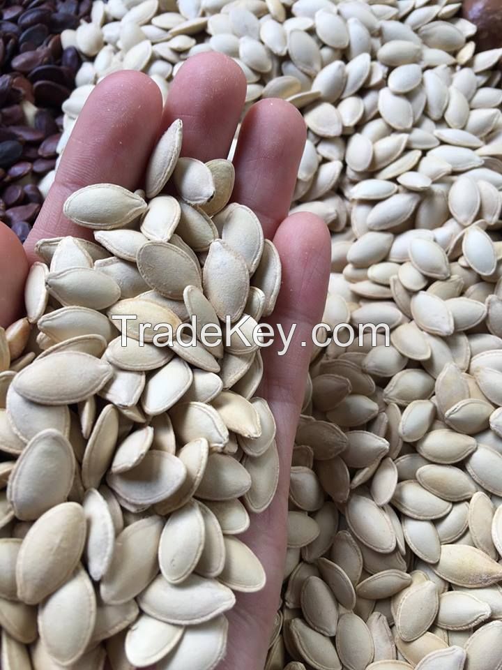 NUTRIENT-RICH PUMPKIN SEEDS / MINERAL BOOST / CLEAN LABEL / VEGAN FRIENDLY