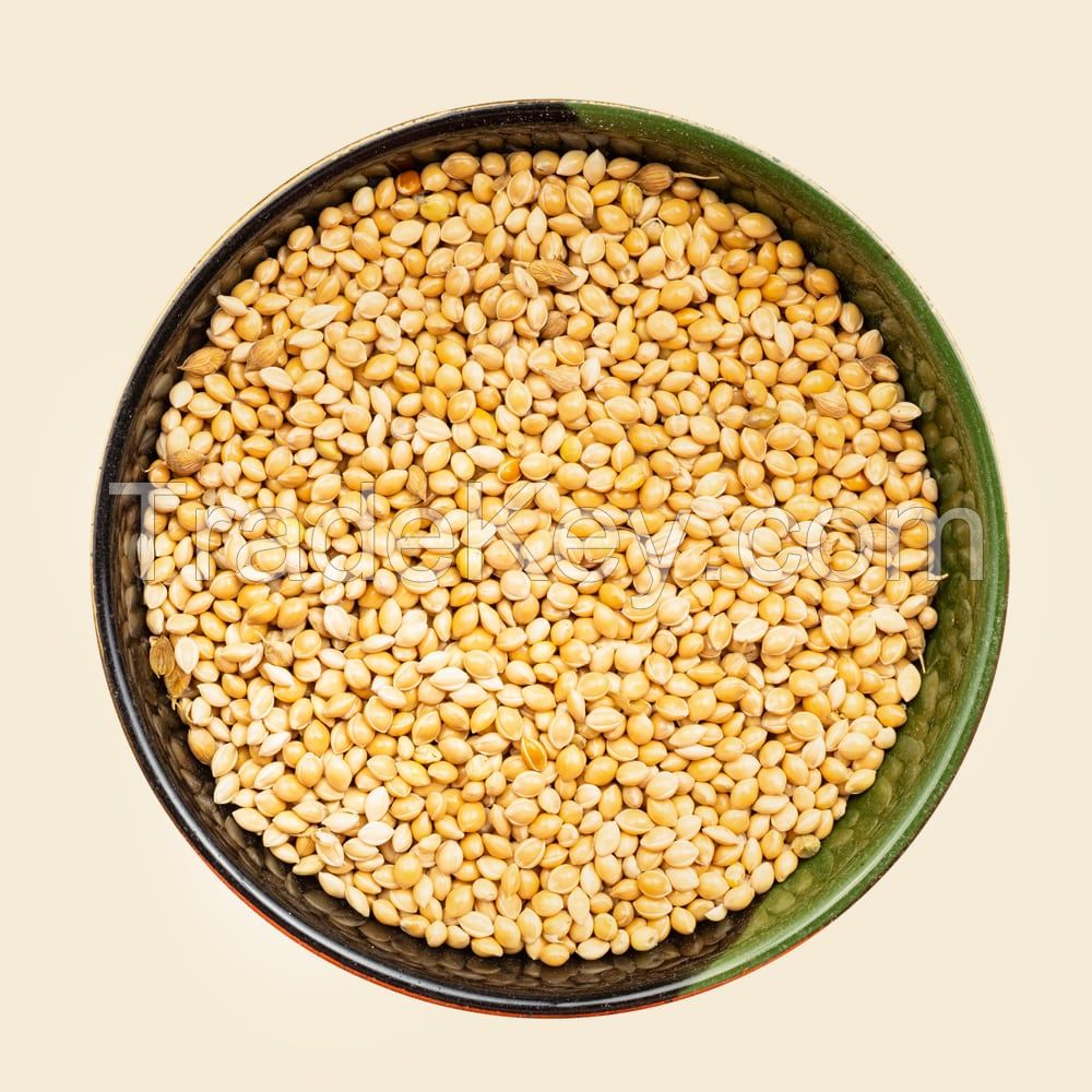 PURE MILLET GRAIN / CLEAN LABEL / PLANT-BASED / WHOLE NATURAL CEREAL