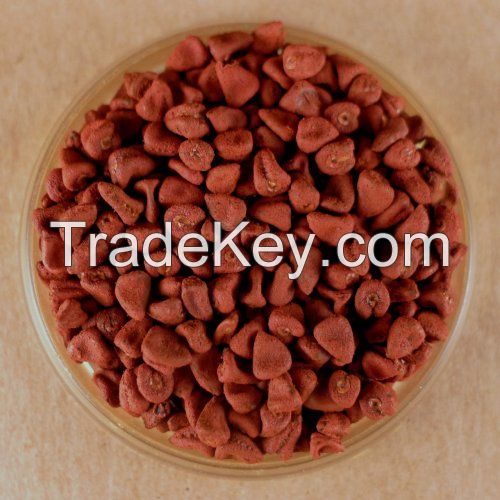 BOTANICAL ANNATTO / NATURAL COLORANT / IMMUNITY FRIENDLY / CLEAN INGREDIENT
