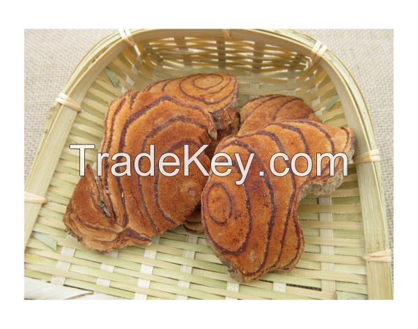 SPATHOLOBI BOOST / CIRCULATORY SUPPORT / HERBAL CLEAN LABEL / HIGH FLAVONOIDS