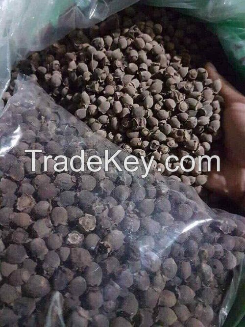 NATURAL MYRTLE BERRY EXTRACT / IMMUNITY BOOST / ORGANIC & CLEAN