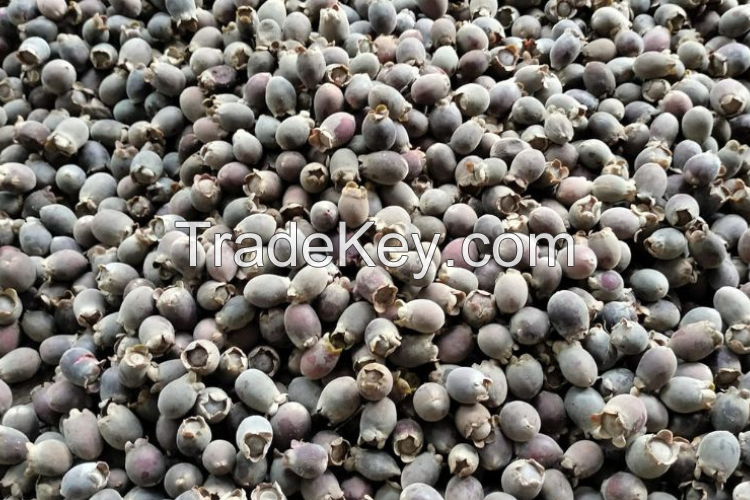NATURAL MYRTLE BERRY EXTRACT / IMMUNITY BOOST / ORGANIC & CLEAN