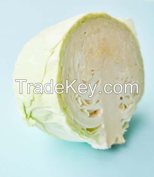 ALL-NATURAL FROZEN CABBAGE / PLANT-BASED POWER / CLEAN NUTRITION / IMMUNITY BOOST