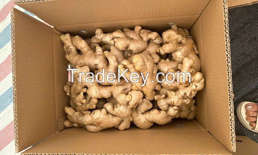 FROZEN ORGANIC GINGER / WELL-BEING BOOST / CLEAN LABEL / NUTRIENT-DENSE