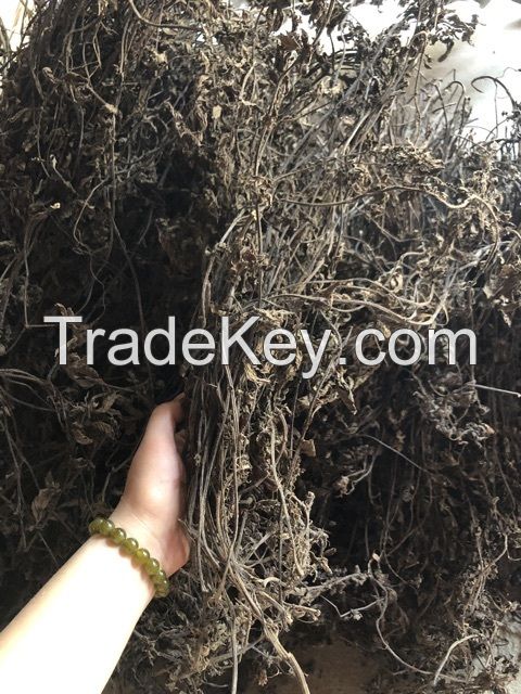 ANTIOXIDANT GRASS JELLY / NATURAL HERBAL BASE / CLEAN & GREEN / VEGAN-FRIENDLY