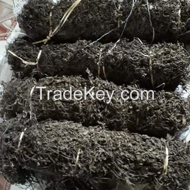ANTIOXIDANT GRASS JELLY / NATURAL HERBAL BASE / CLEAN & GREEN / VEGAN-FRIENDLY