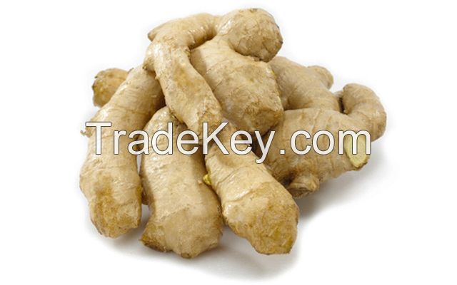 FROZEN ORGANIC GINGER / WELL-BEING BOOST / CLEAN LABEL / NUTRIENT-DENSE