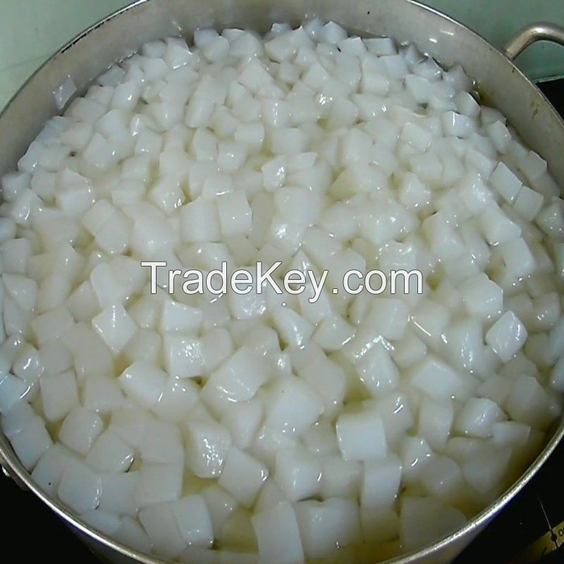 READY-TO-EAT NATA DE COCO / CLEAN LABEL CERTIFIED / TROPICAL SNACK