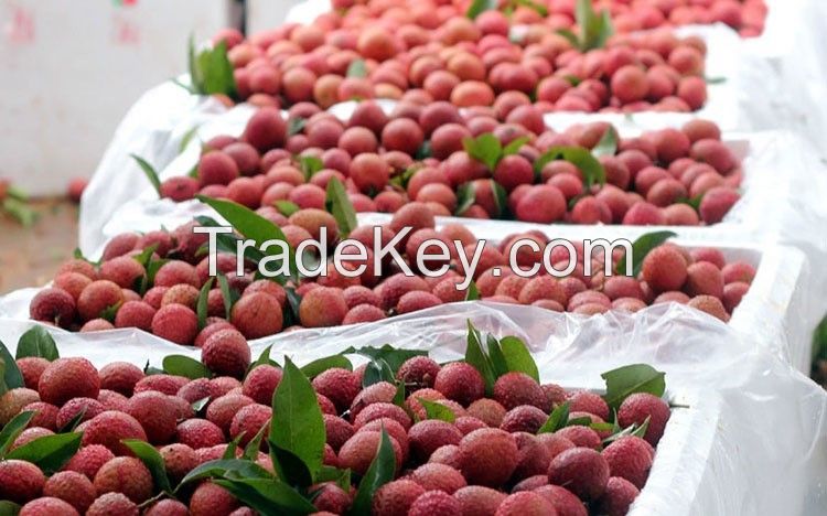 PREMIUM LYCHEE FREEZE / RICH IN ANTIOXIDANTS / CLEAN SOURCE / IMMUNE FUEL