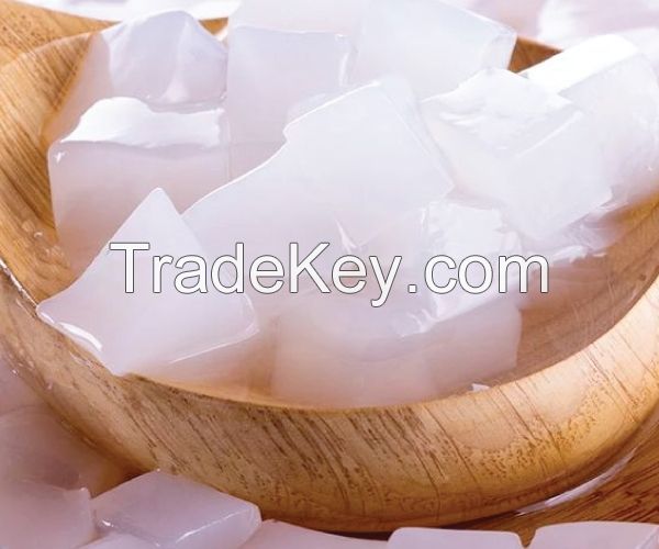 READY-TO-EAT NATA DE COCO / CLEAN LABEL CERTIFIED / TROPICAL SNACK